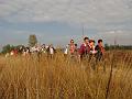 Wandeling van Monke en Judith op 21-10-2012 (26)